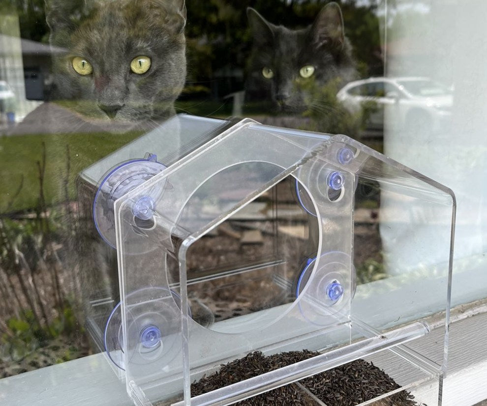 Suction Mount Window Feeding House for Outdoor Wild Small Pets